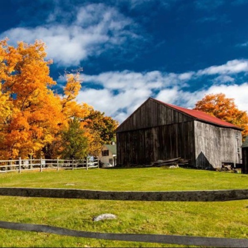 Meet your Posher, Beatriz